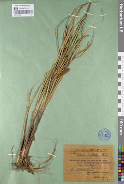 LE 01134032