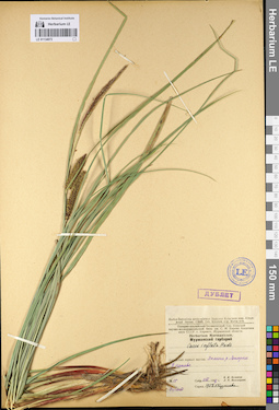 LE 01134073