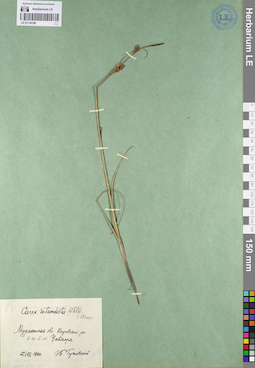 LE 01134196