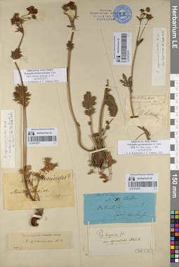 LE 01072276