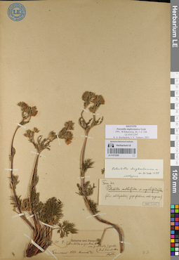 LE 01072295