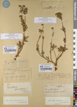 LE 01072296