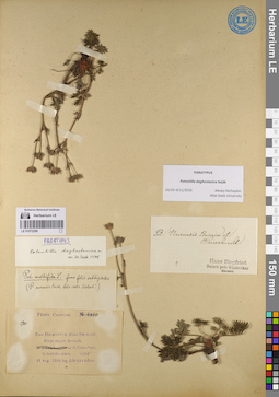 LE 01072299