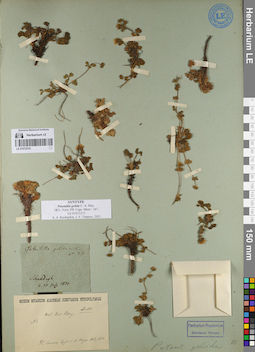 LE 01072315