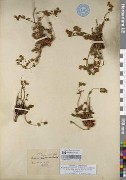 LE 01072331