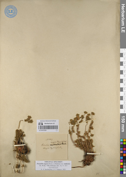 LE 01072335