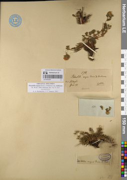 LE 01072337