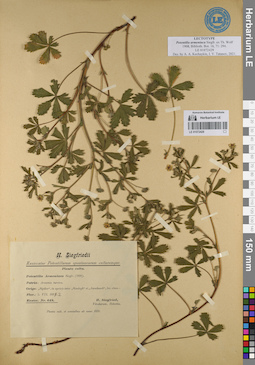 LE 01072429