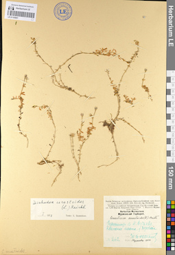 LE 01105801