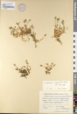 LE 01105804