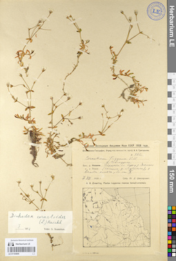 LE 01105809
