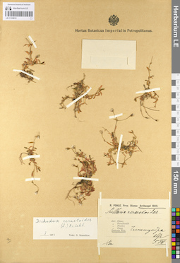 LE 01105810