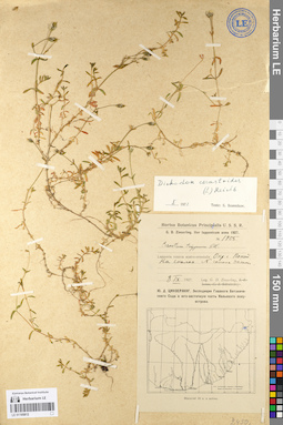 LE 01105812