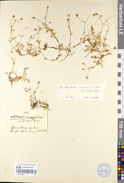 LE 01105813