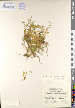LE 01105814