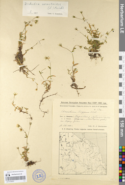 LE 01105815