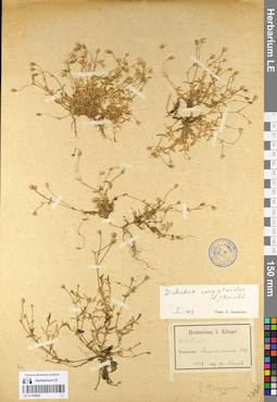 LE 01105820