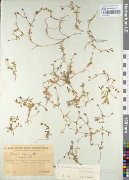 LE 01105824