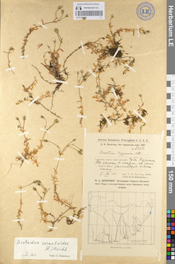LE 01105836