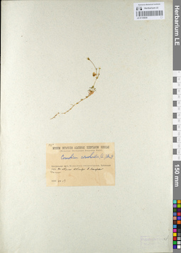 LE 01105838
