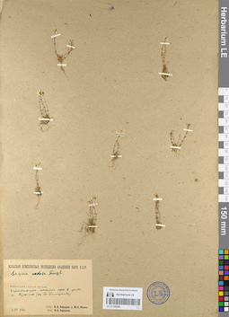 LE 01105846