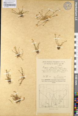 LE 01105849