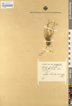 LE 01105851