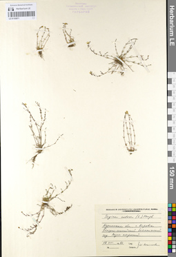 LE 01105871