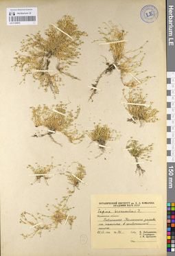LE 01105876