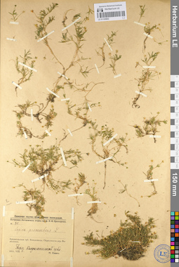 LE 01105882
