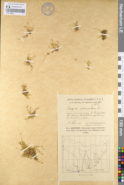 LE 01105885