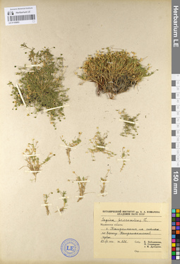 LE 01105893