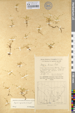LE 01105907