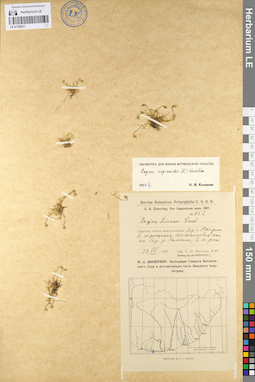 LE 01105911