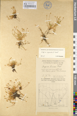 LE 01105912