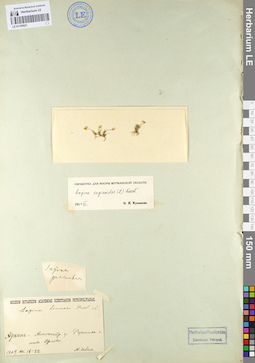 LE 01105921