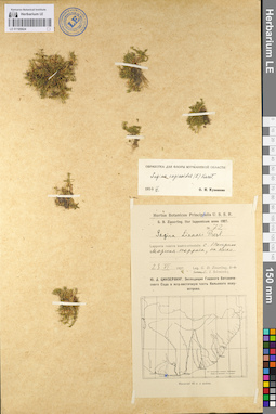 LE 01105924