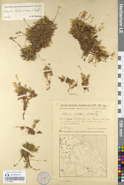 LE 01105932