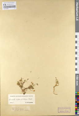LE 01105934