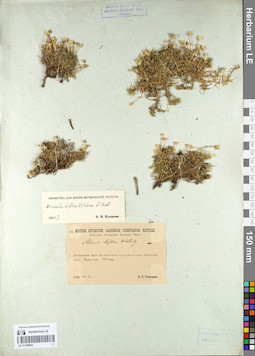 LE 01105936