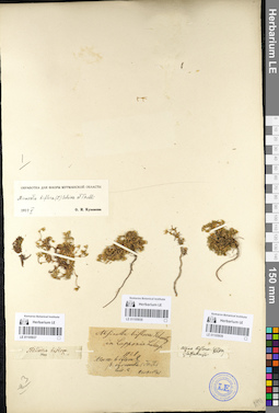 LE 01105937