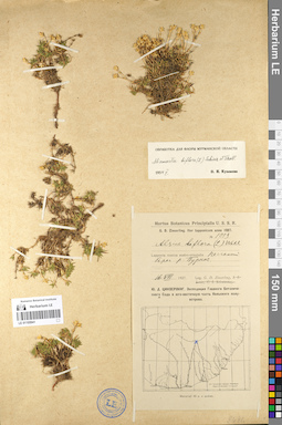 LE 01105941