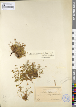 LE 01105943