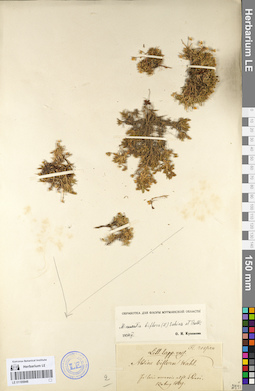 LE 01105948