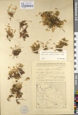 LE 01105949