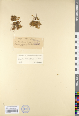 LE 01105951