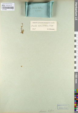 LE 01105956