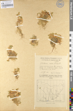 LE 01105994