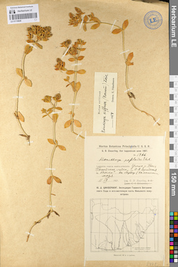 LE 01110028