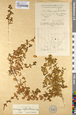LE 01110036